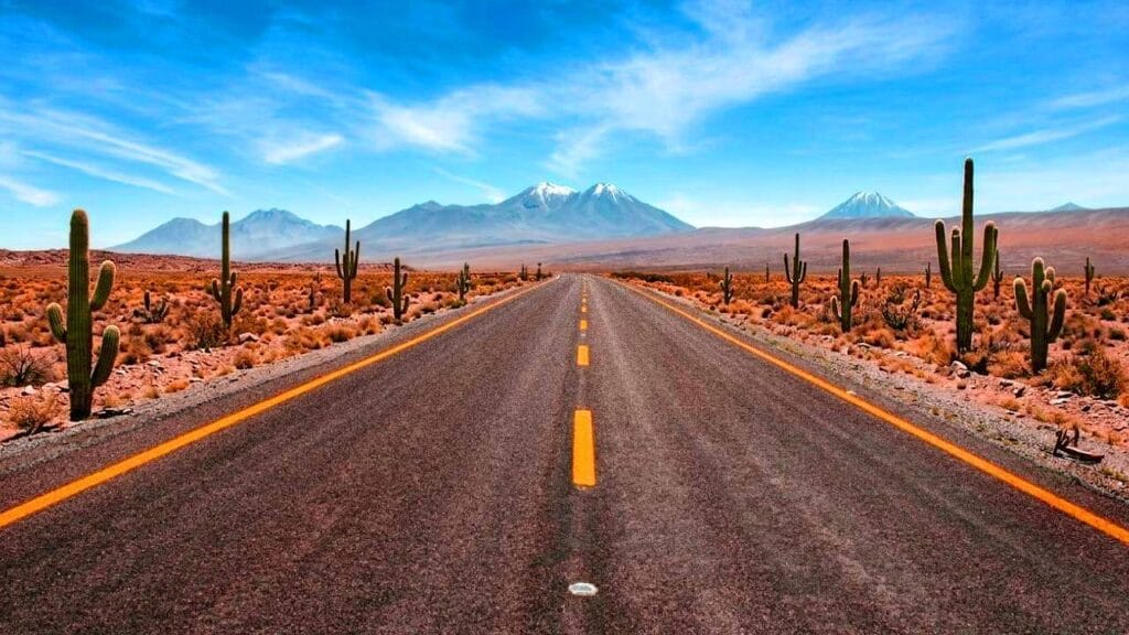 Desert road with cacti and mountains, original photo